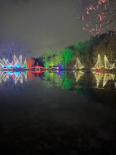Nighttime view of a lake reflecting colorful lights strung on trees. A red bridge is in the center.