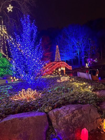 Night scene with Christmas lights. Trees and structures adorned with blue, red, green, and yellow lights.