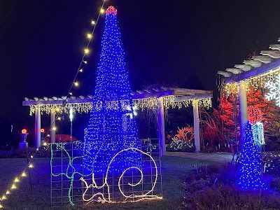 A Christmas tree-shaped light display with a snail, lit up blue, in a night garden.