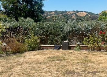 A backyard with a lot of dry grass and trees in the background.