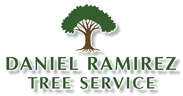 A logo for daniel ramirez tree service with a tree on it