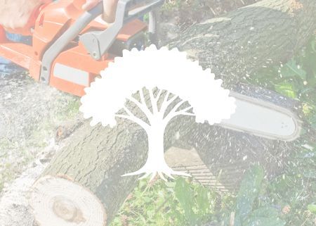 A chainsaw is cutting a tree on a green background.