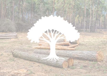 A white tree is sitting on top of a pile of logs in a field.