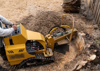 A man is using a stump grinder to remove a tree stump.