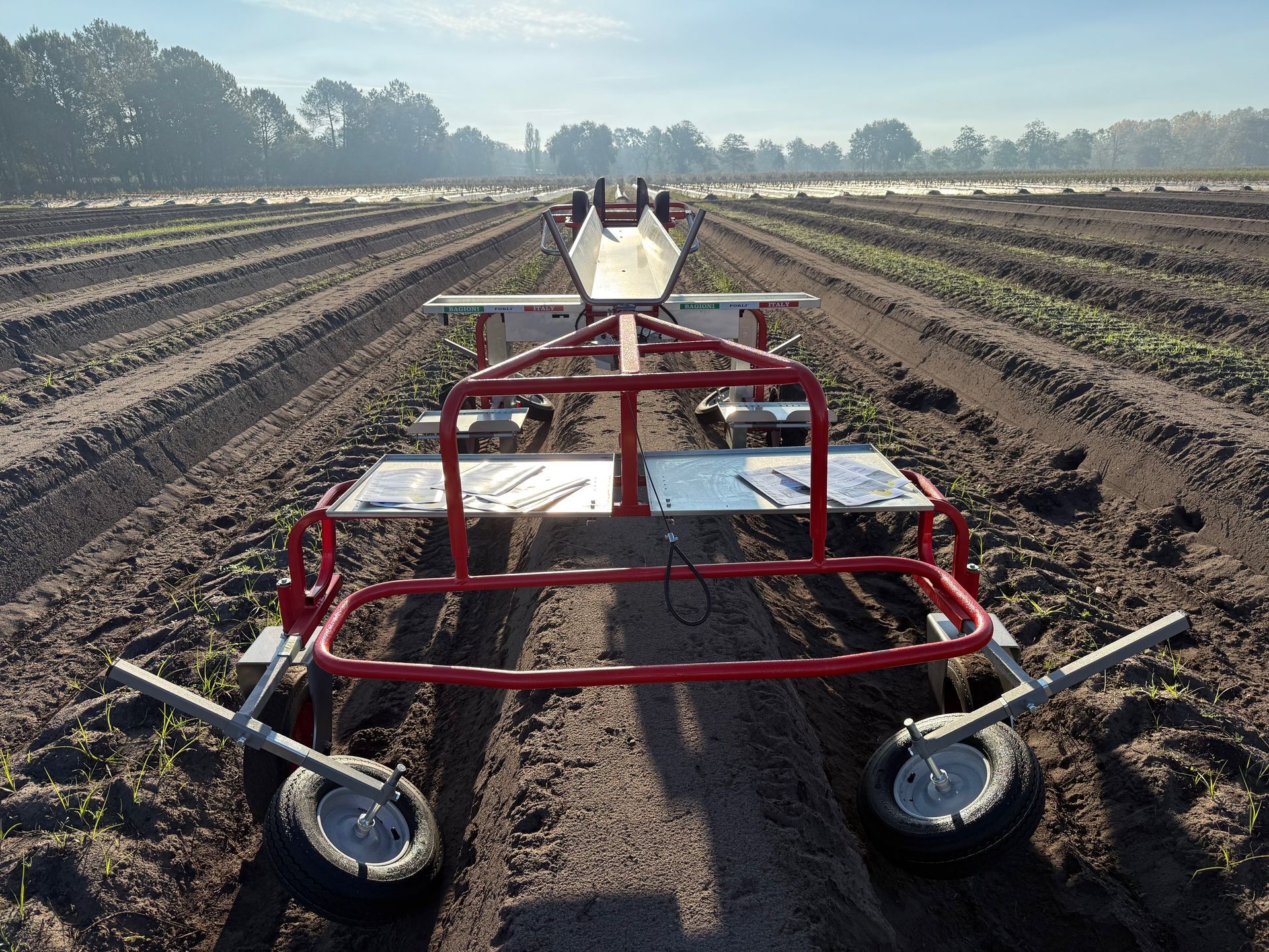 Un carretto agricolo rosso, utilizzato per i lavori nei campi, si trova a cavallo di una fila di colture in un campo arato e soleggiato.