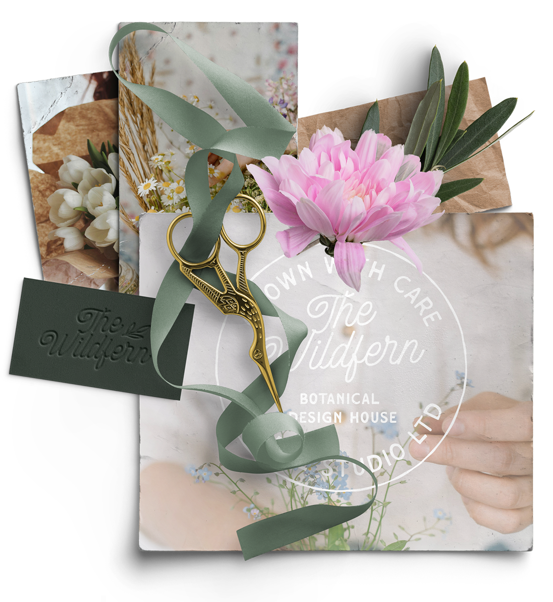A woman is holding a pink flower and a pair of scissors.