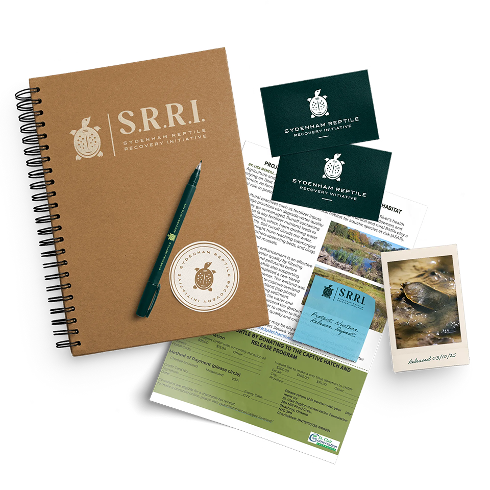 An ipad, ipad penil, and two images of the Unapologetically Faithful website.