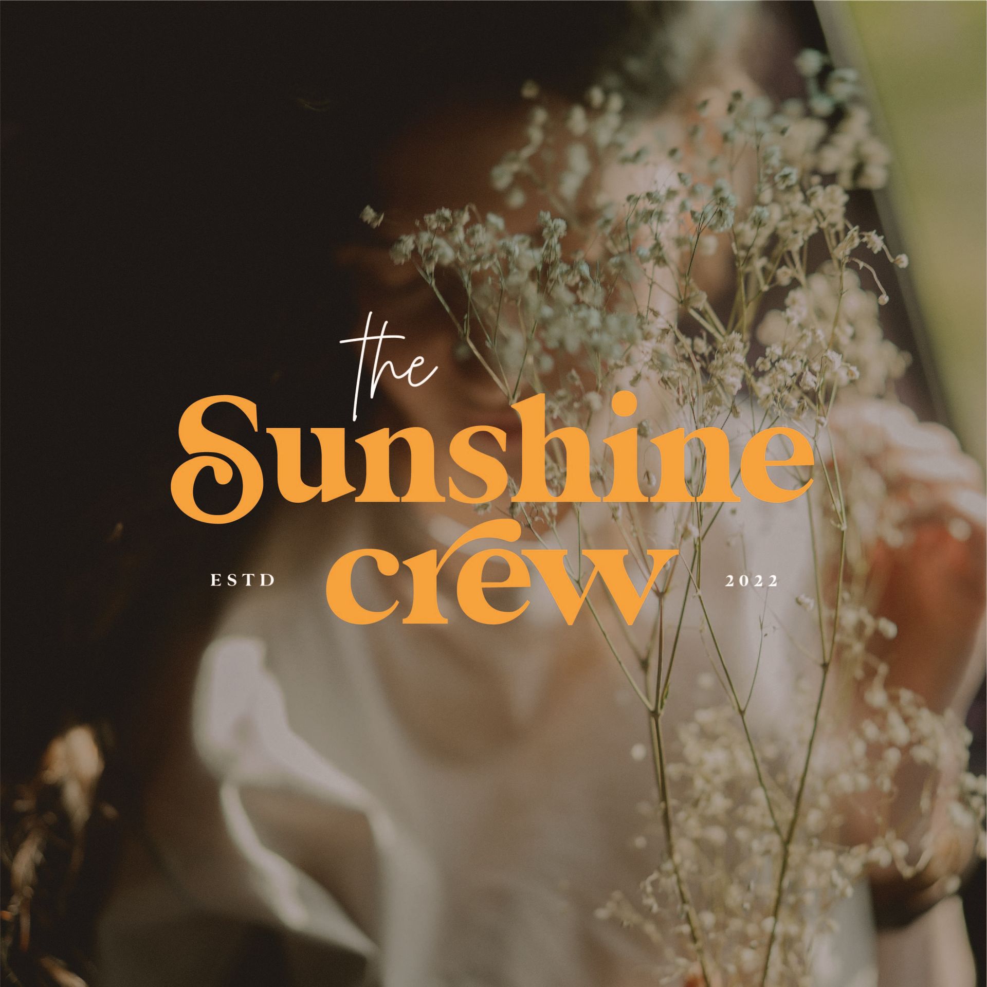 A poster for the sunshine crew shows a woman holding flowers Semi Custom Brand Kits