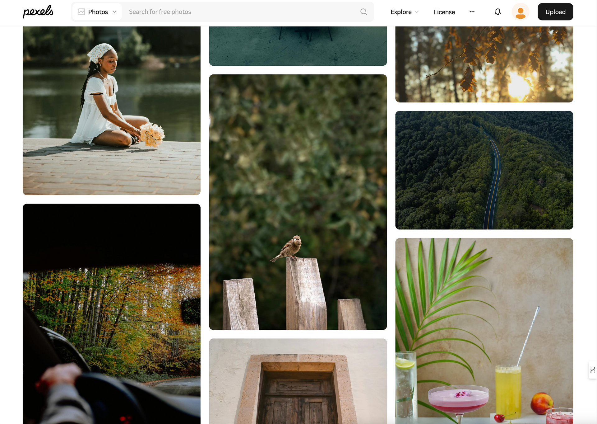 A stock image site featuring a variety of layouts and styles including a woman in a white dress sitting by water, holding flowers.