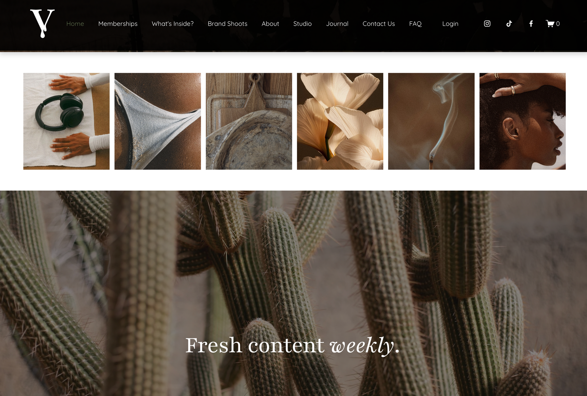 Website homepage: Cactus in focus, with photos of body and objects above, text 