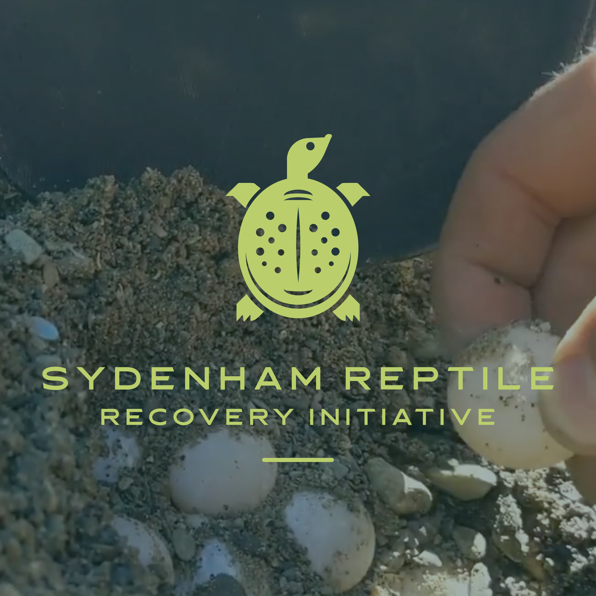 Woman smiling with microphone.