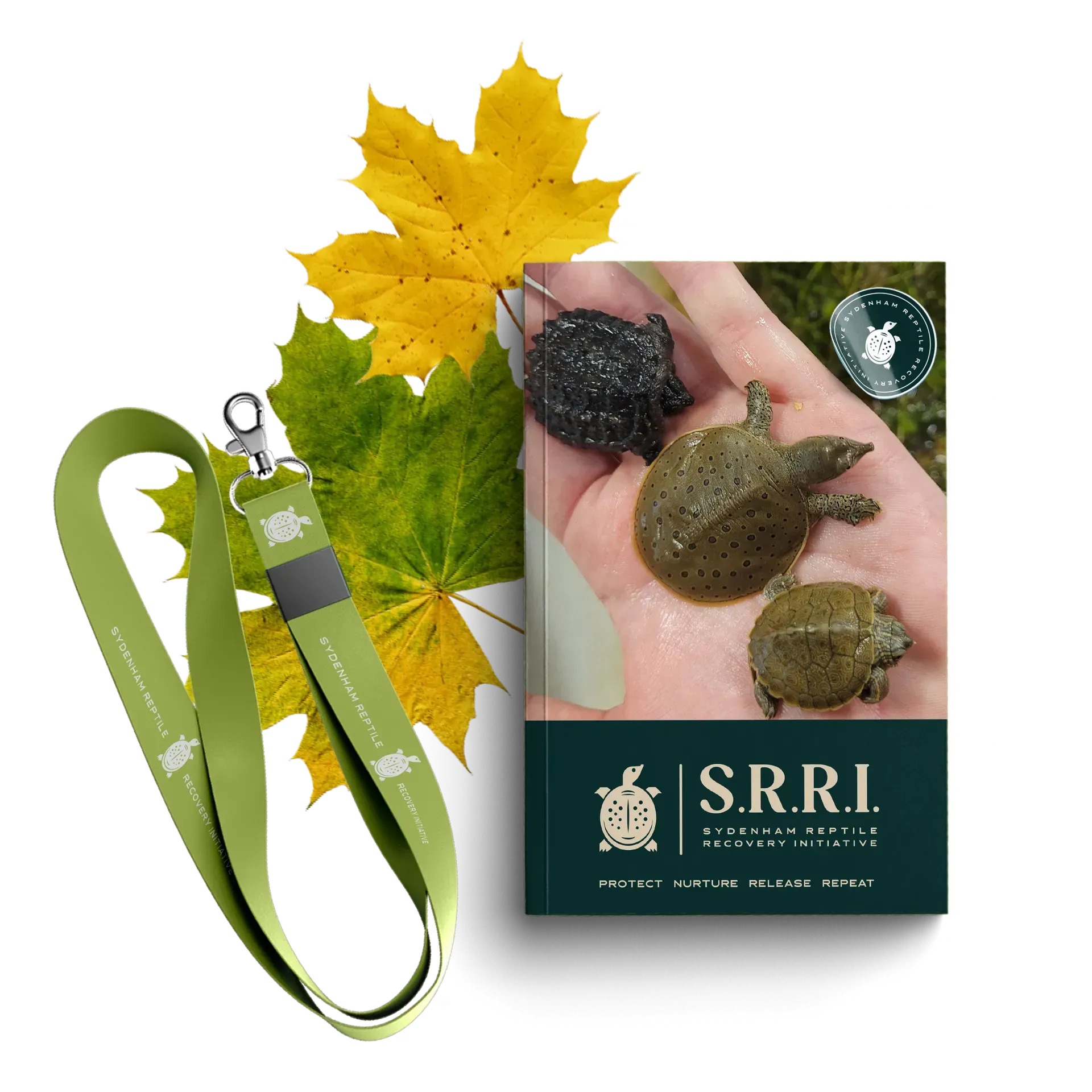 Branded stationery notebook, cards, pen, for faith based ministry.