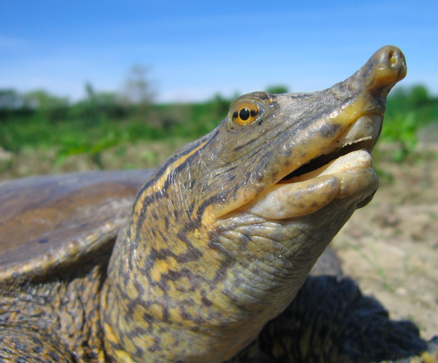 Woman smiling with microphone.