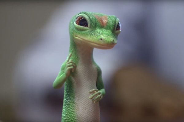 A green and white lizard is standing on a table and looking at the camera.