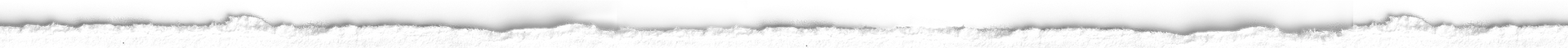 A white background with a gray gradient in the middle