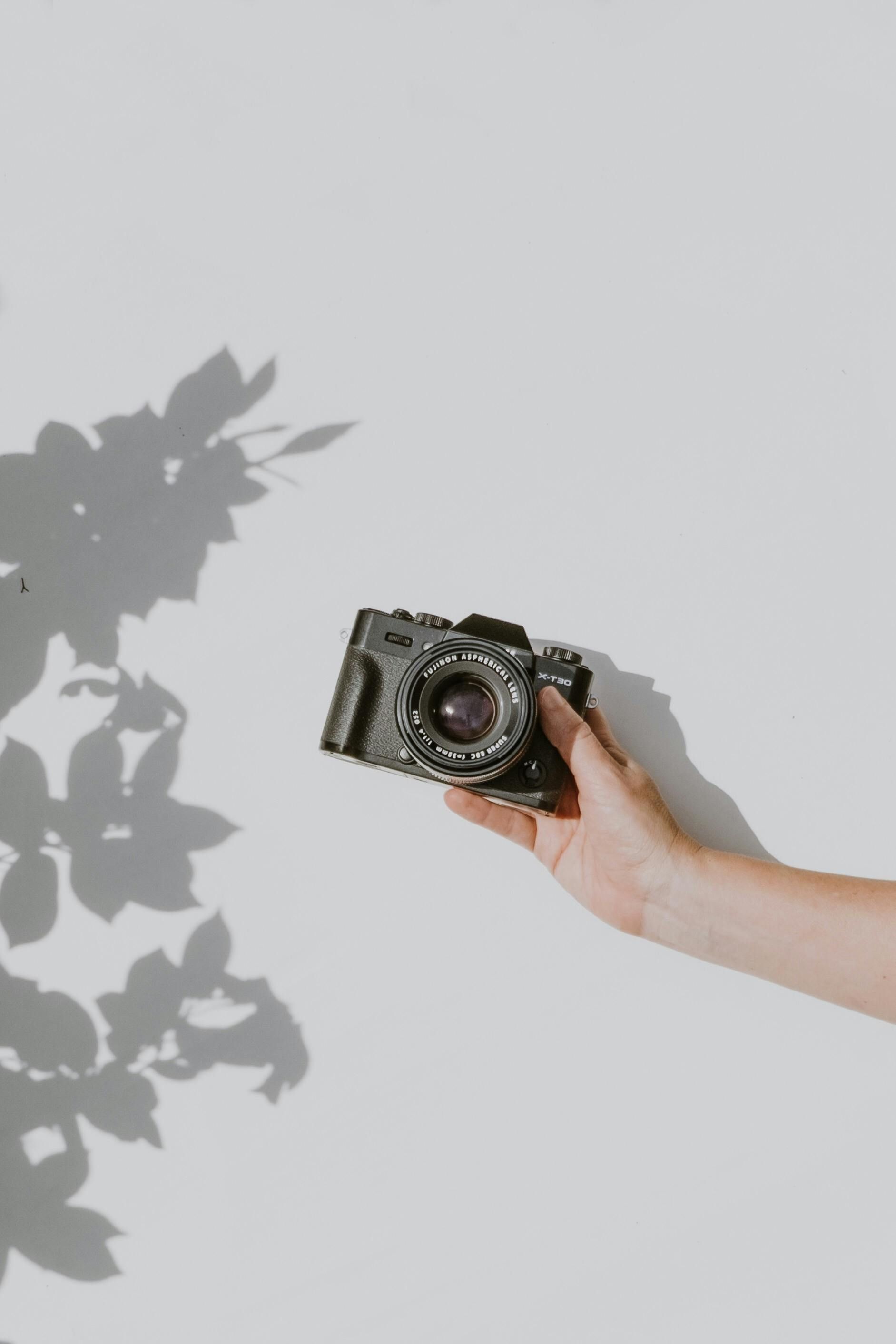 Hand holding a vintage black camera against a white wall with leafy shadows.