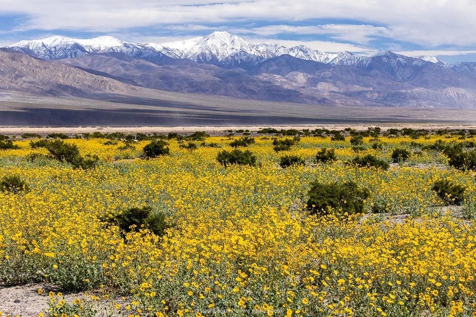 March 22-27, 2026 Death Valley  Landscape Photography Workshop