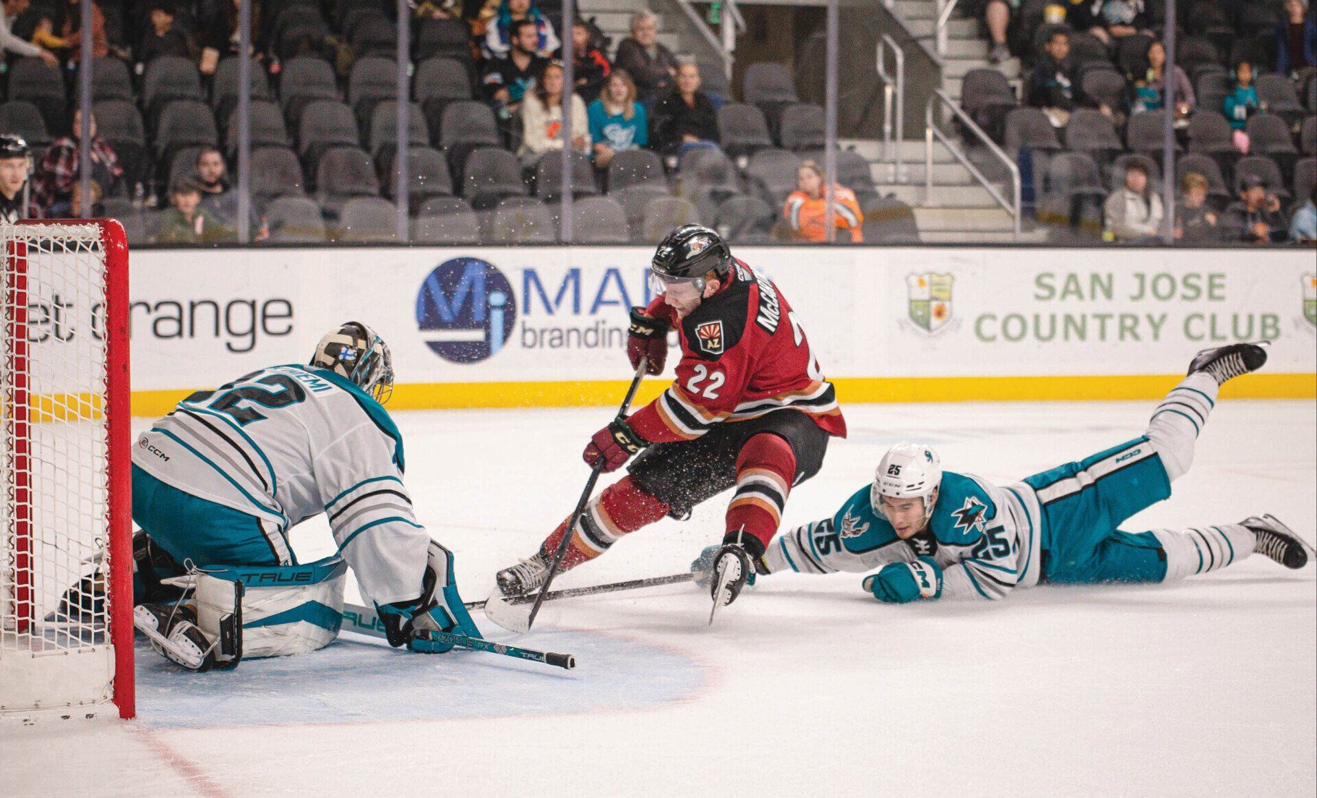 Sports Photography Workshop featuring San Jose Barracuda Hockey