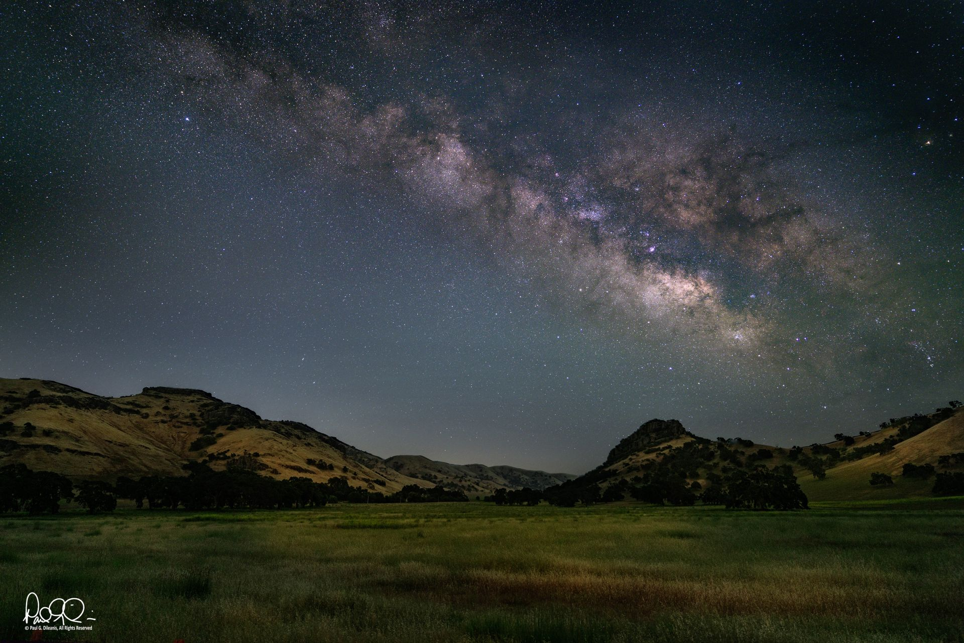 Starry Summer Nights