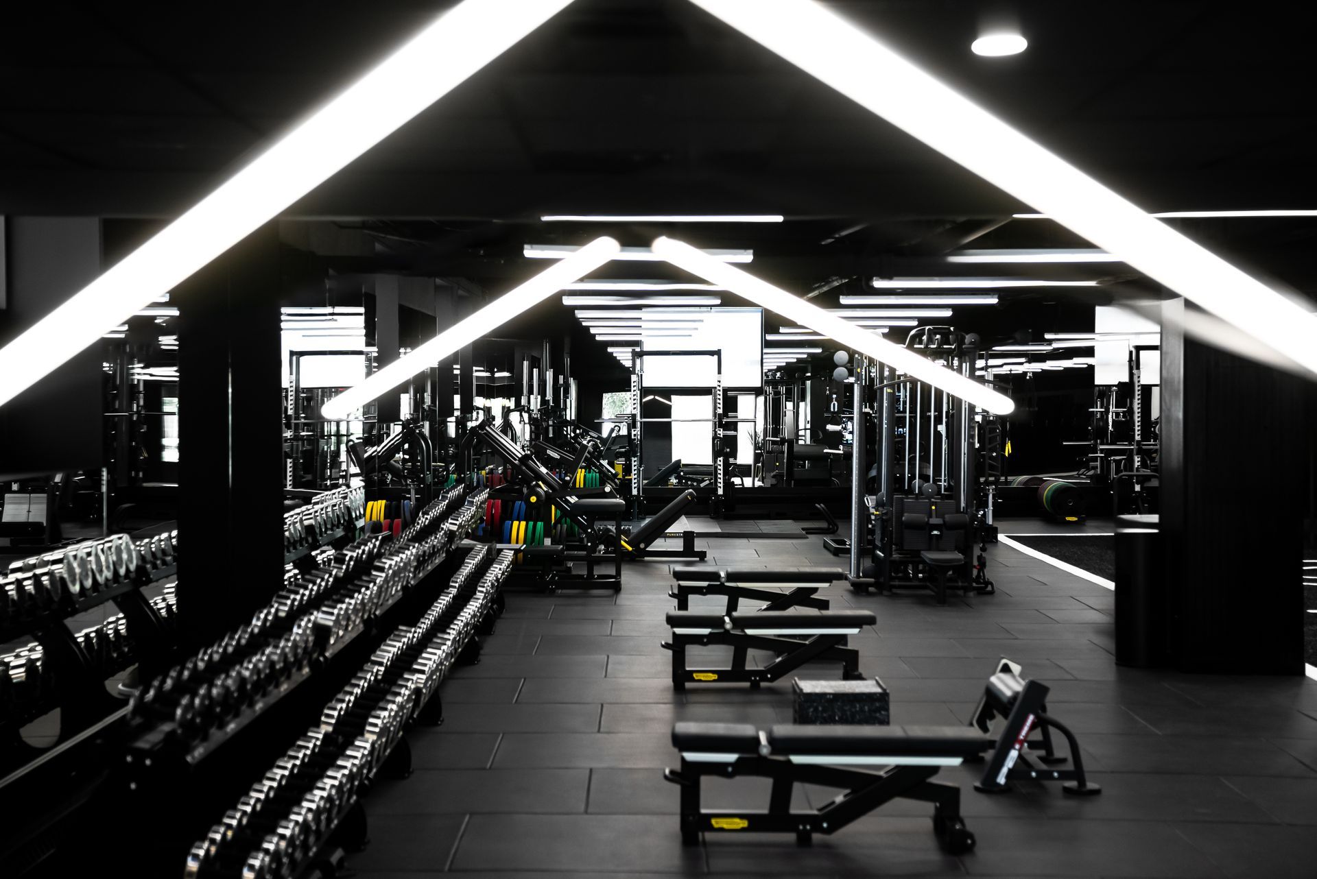 Madison Ave Strength Lab | Larchmont, NY