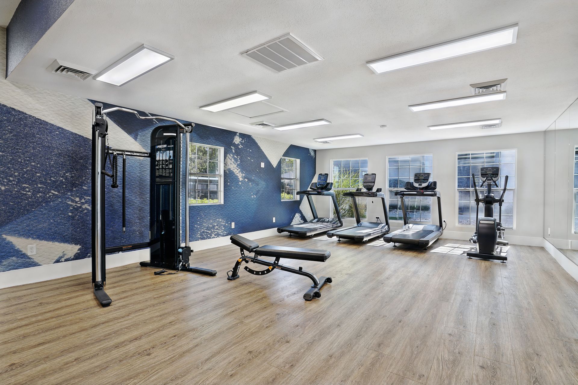 Gym interior with exercise machines: treadmills, elliptical, weight machine, bench, windows, blue wall art at Preston Hollow in Millcreek, UT.