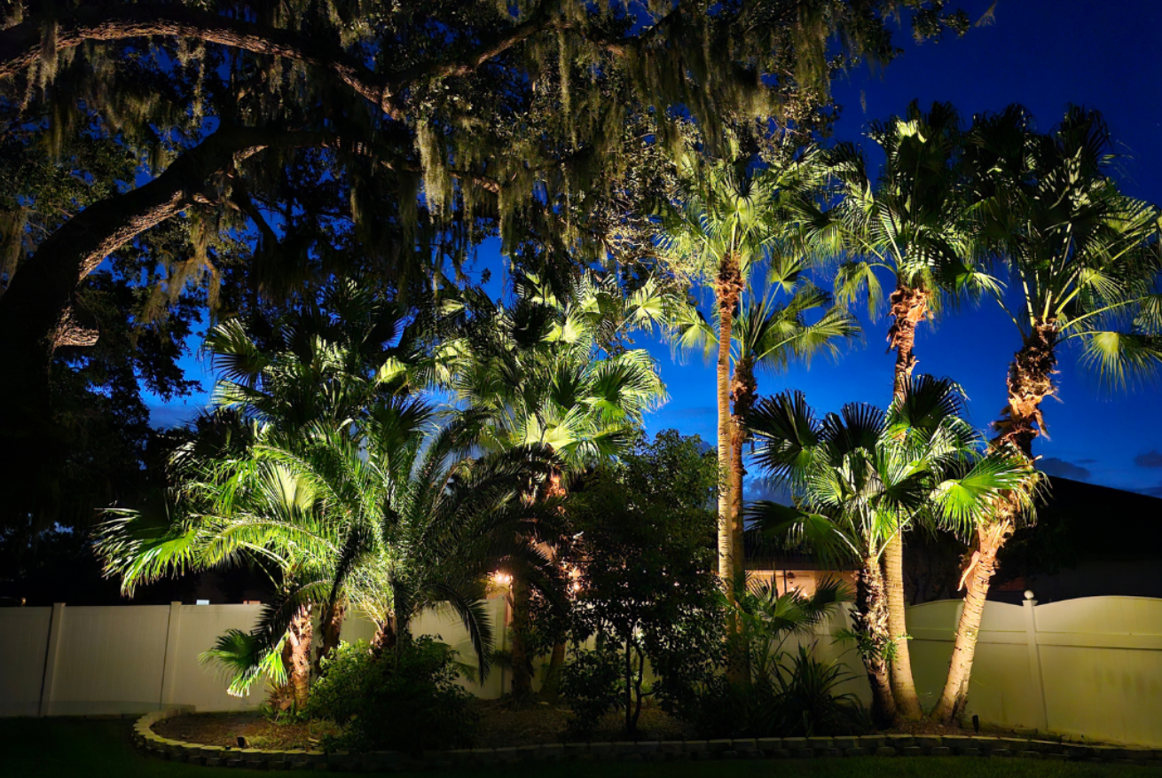 A group of trees are lit up at night in a backyard.
