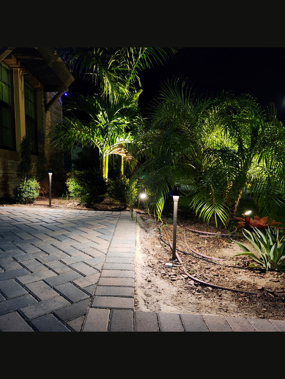 A brick walkway leading to a house is lit up at night.