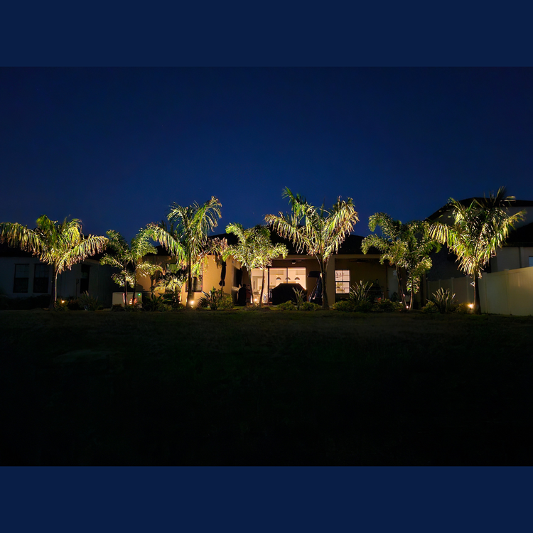 A house is lit up at night with palm trees in front of it