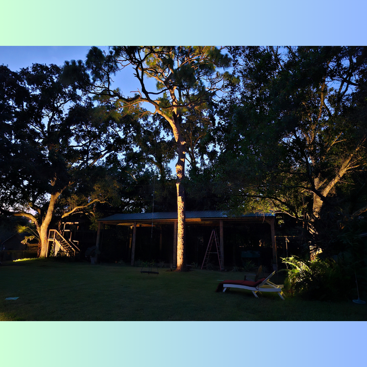 A house is surrounded by trees with a blue sky in the background