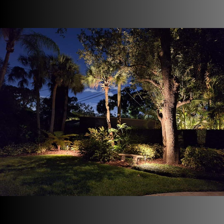 A lush green yard with trees and bushes lit up at night