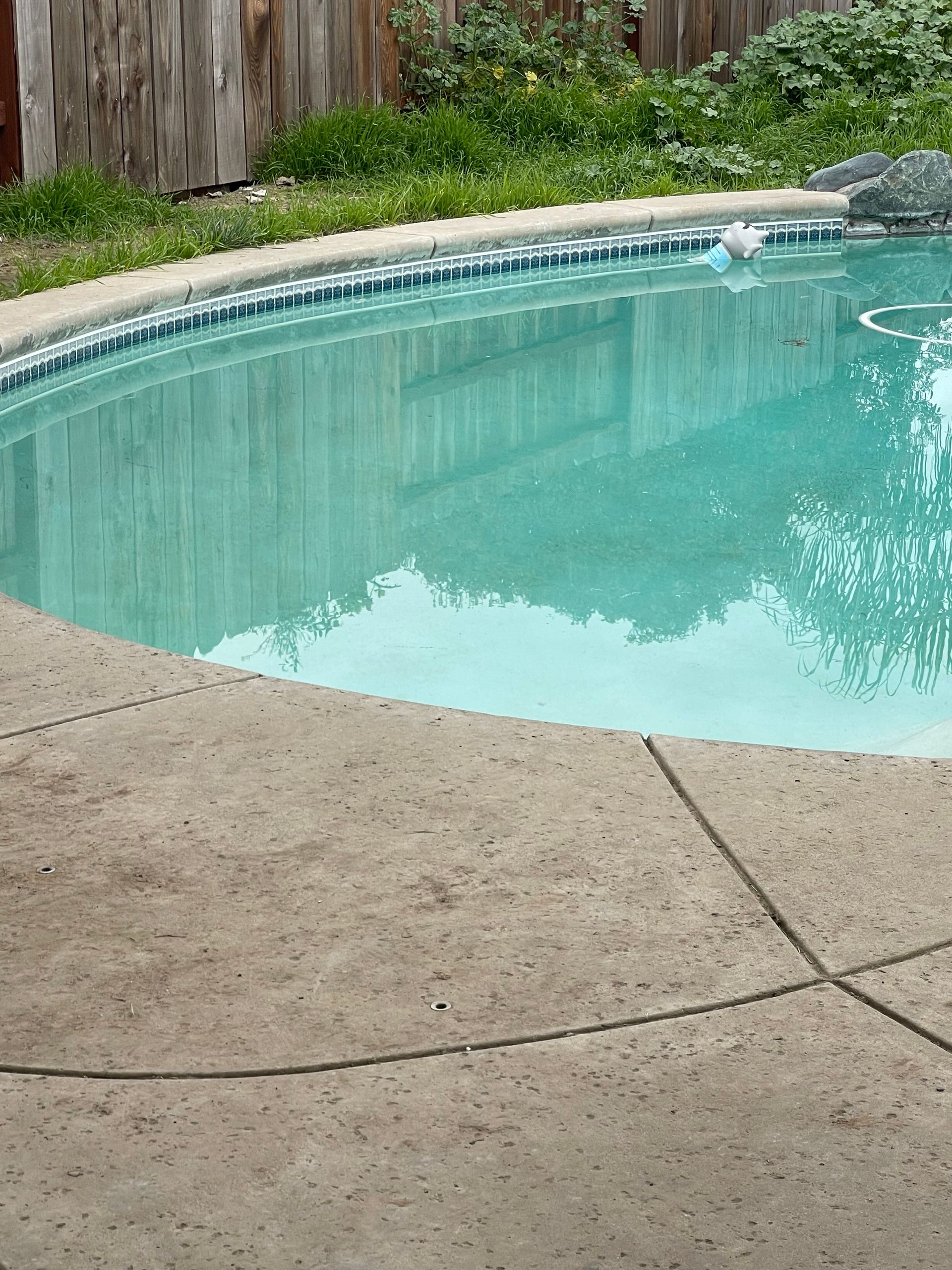 A swimming pool with a wooden fence in the background