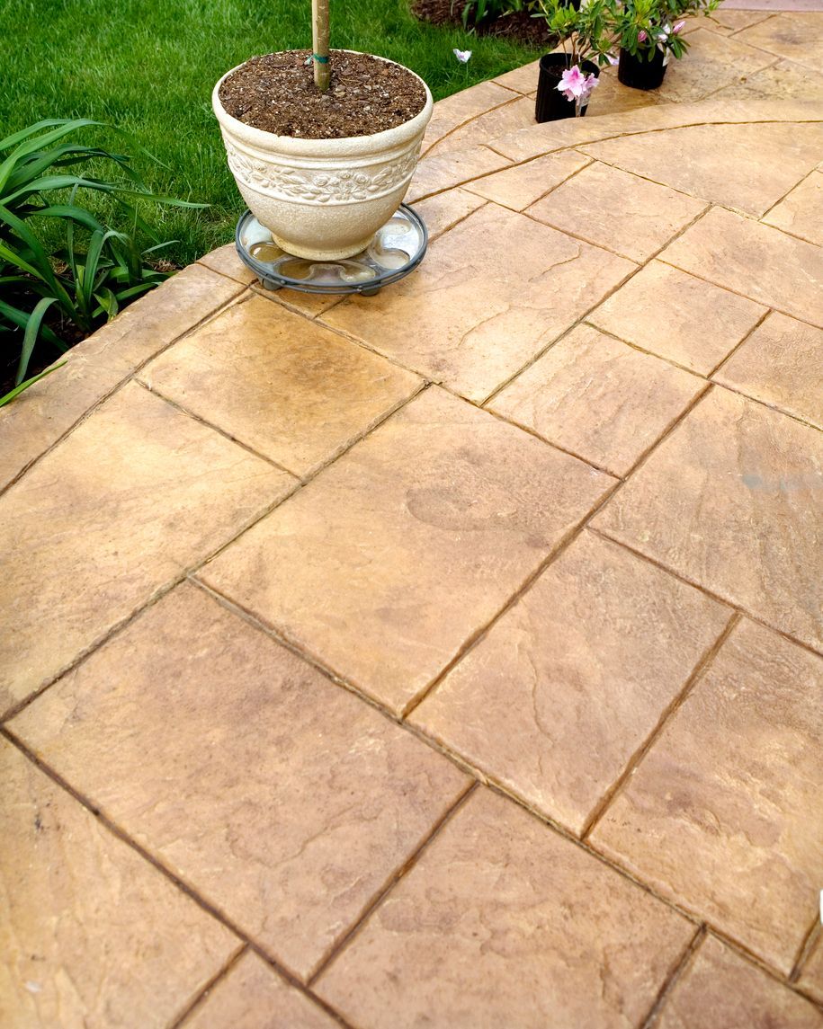 A potted plant is sitting on top of a tiled patio.