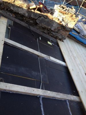 manutenzione tetti Trieste