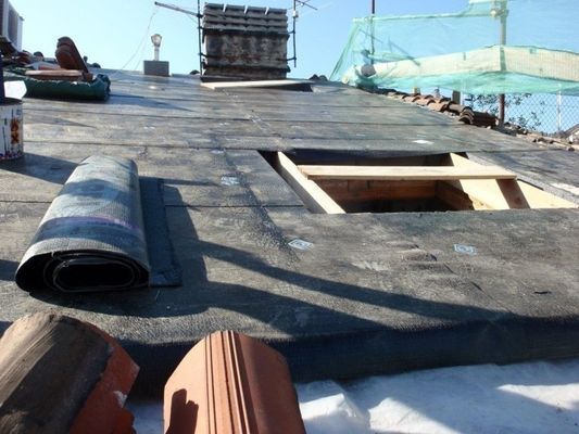 manutenzione tetti Trieste