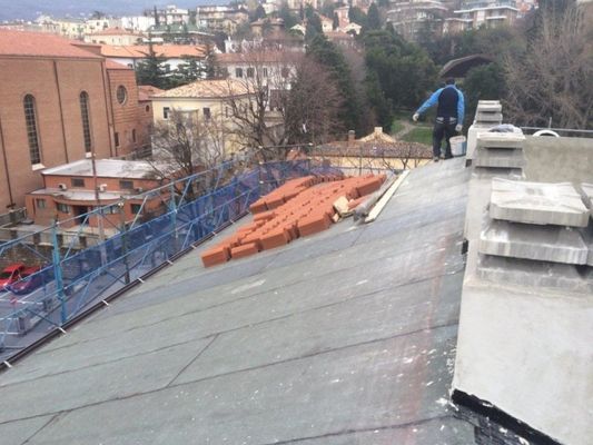 manutenzione tetti Trieste