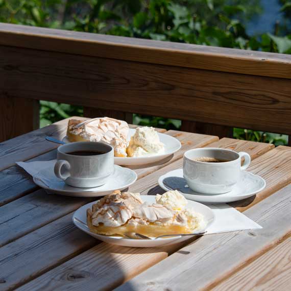 Dalsands konstmuseum café