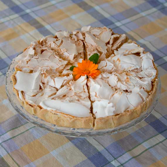 Dalsands konstmuseum café