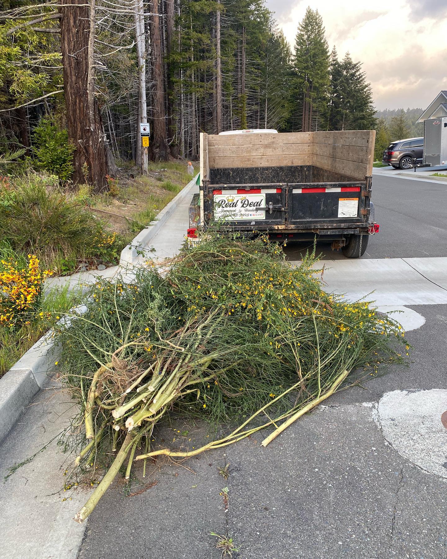 Green Waste Cleanout Services in Eureka, CA