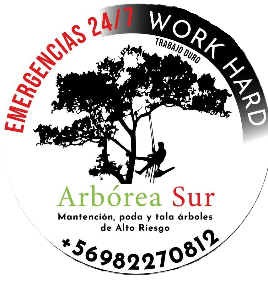 Arbóreasur
