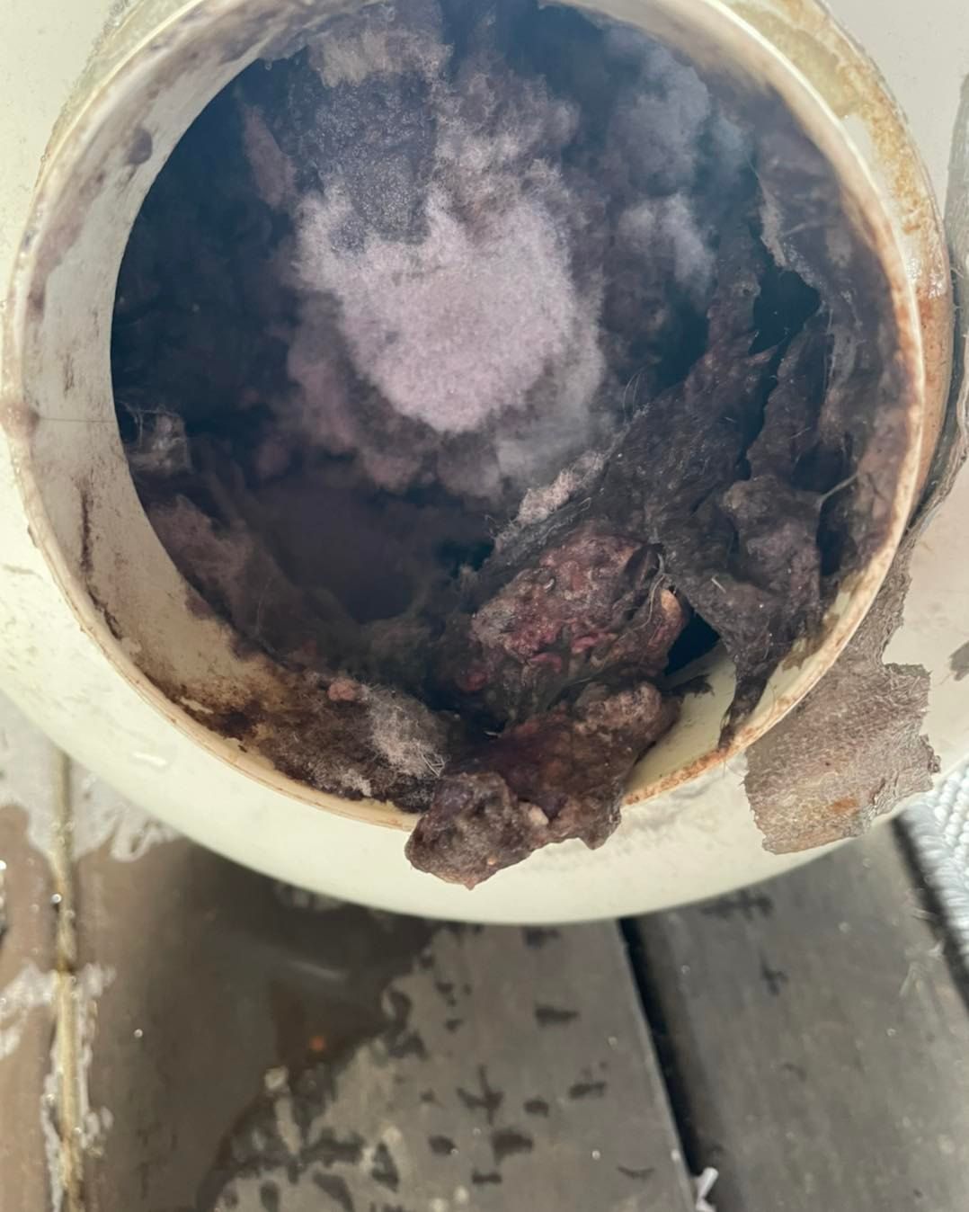 Interior view of a white pipe filled with a mass of dark, moldy debris and insulation.