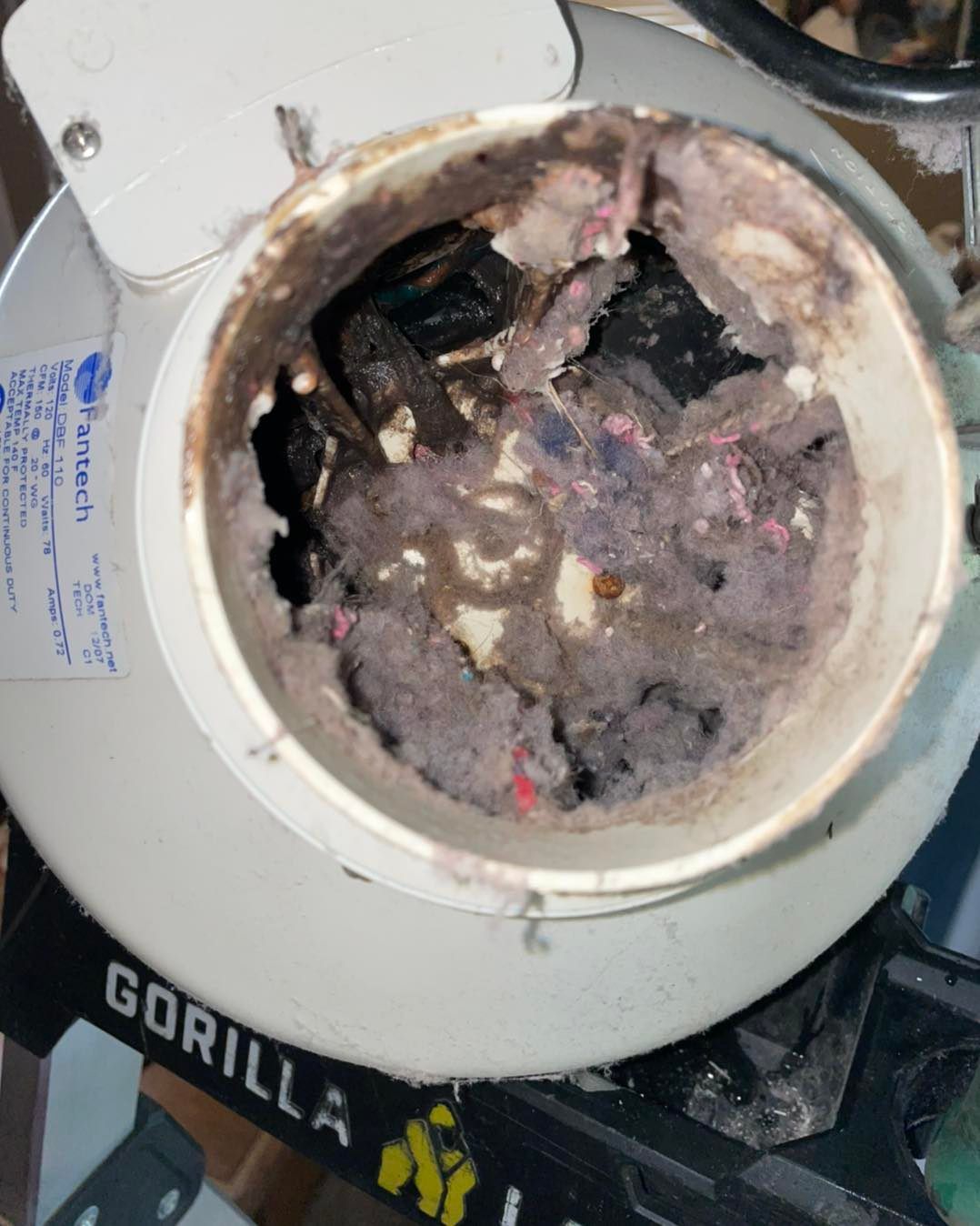 Close-up of a dryer vent clogged with thick gray lint and debris inside a white housing.