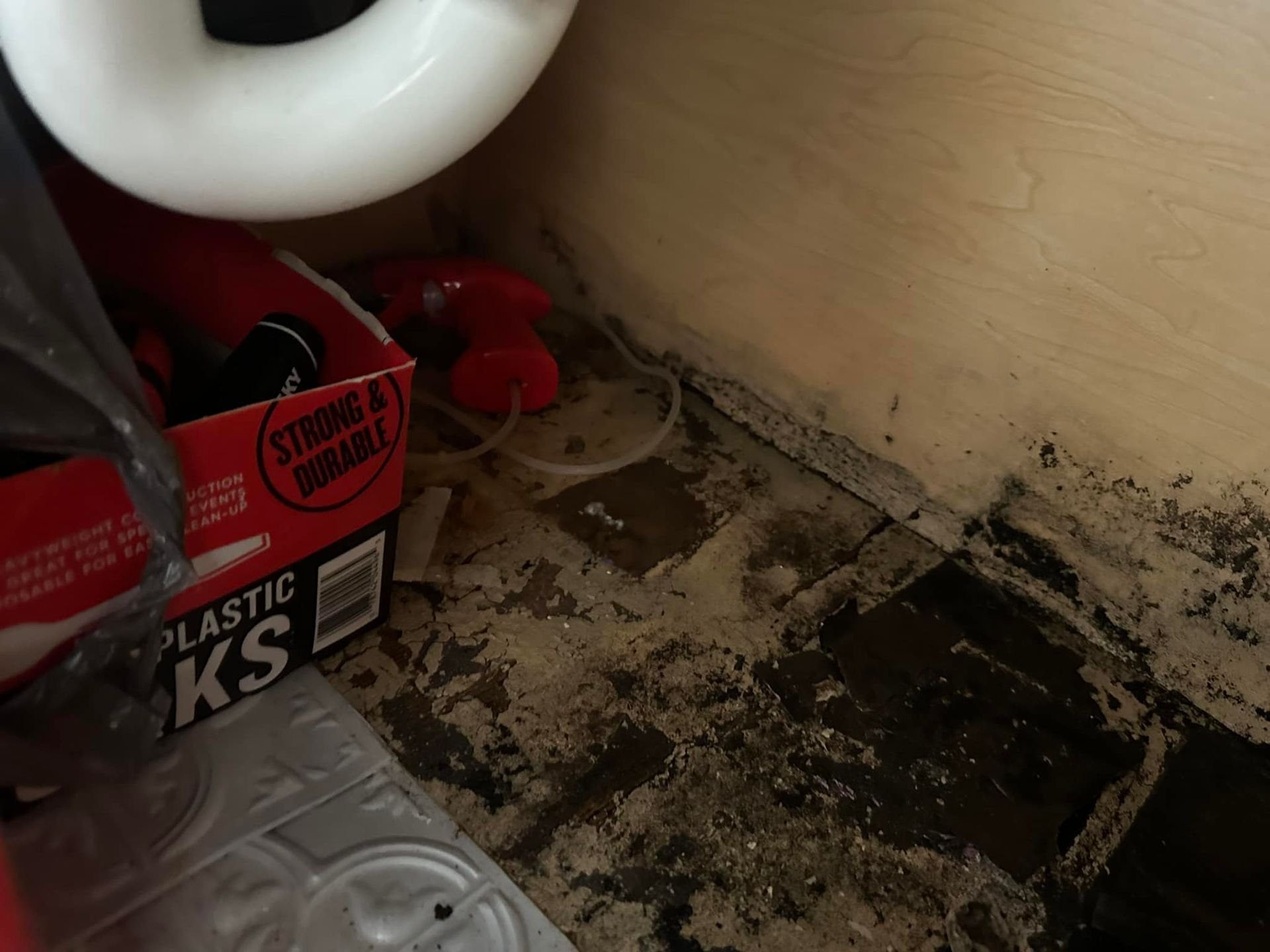 A close-up view shows a water-damaged floor near a toilet. Mold and debris are visible, and red spray bottles are present.