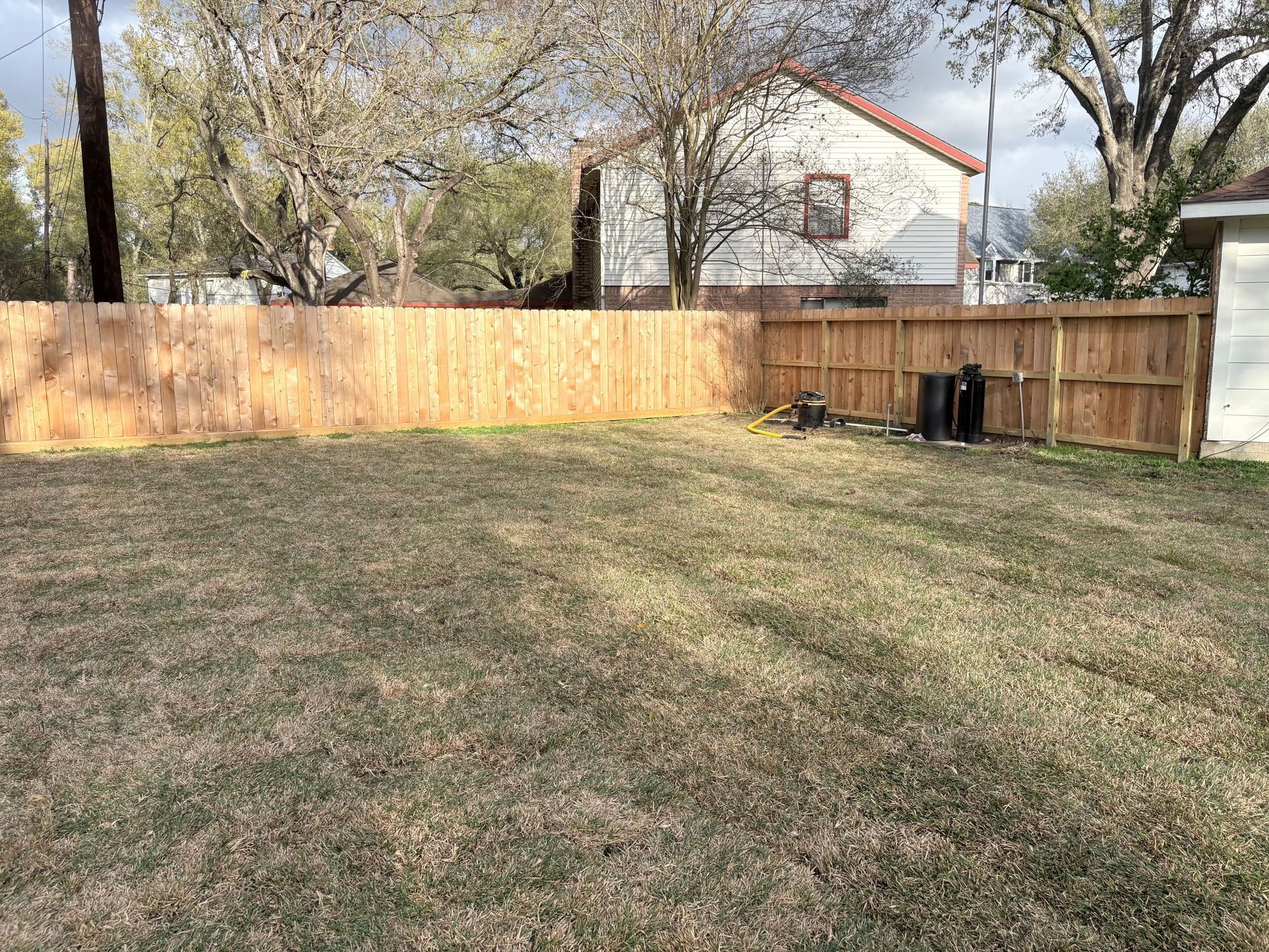 A grassy backyard with a wooden fence, surrounding trees, and a house in the background.