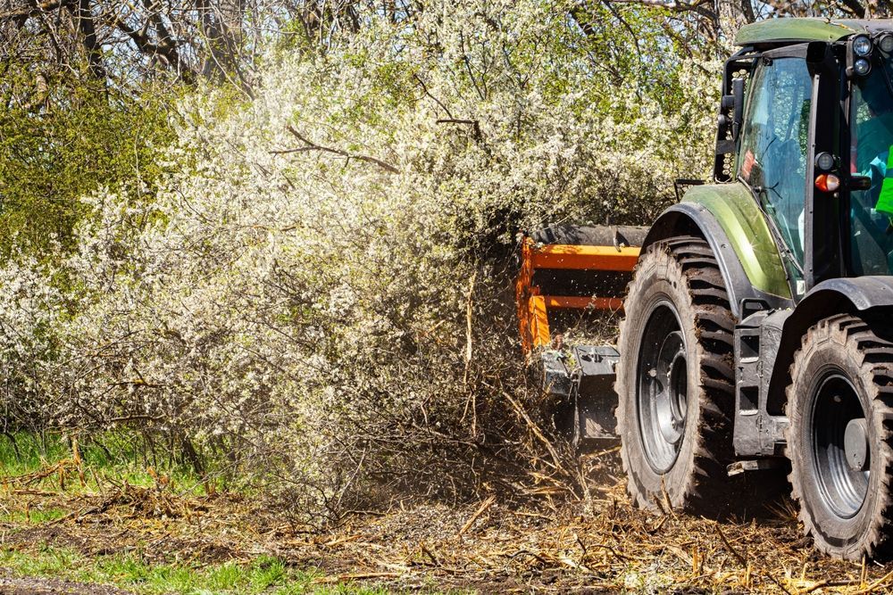 A green tractor with a mounted orange brush cutter clears blooming, white-flowered shrubs along a field edge.