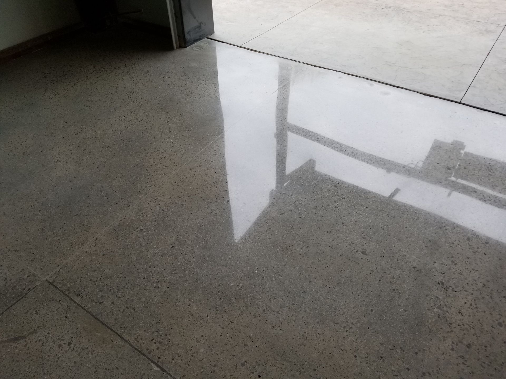 Polished concrete floor reflecting sunlight and an open doorway. The floor is gray with small aggregate visible.