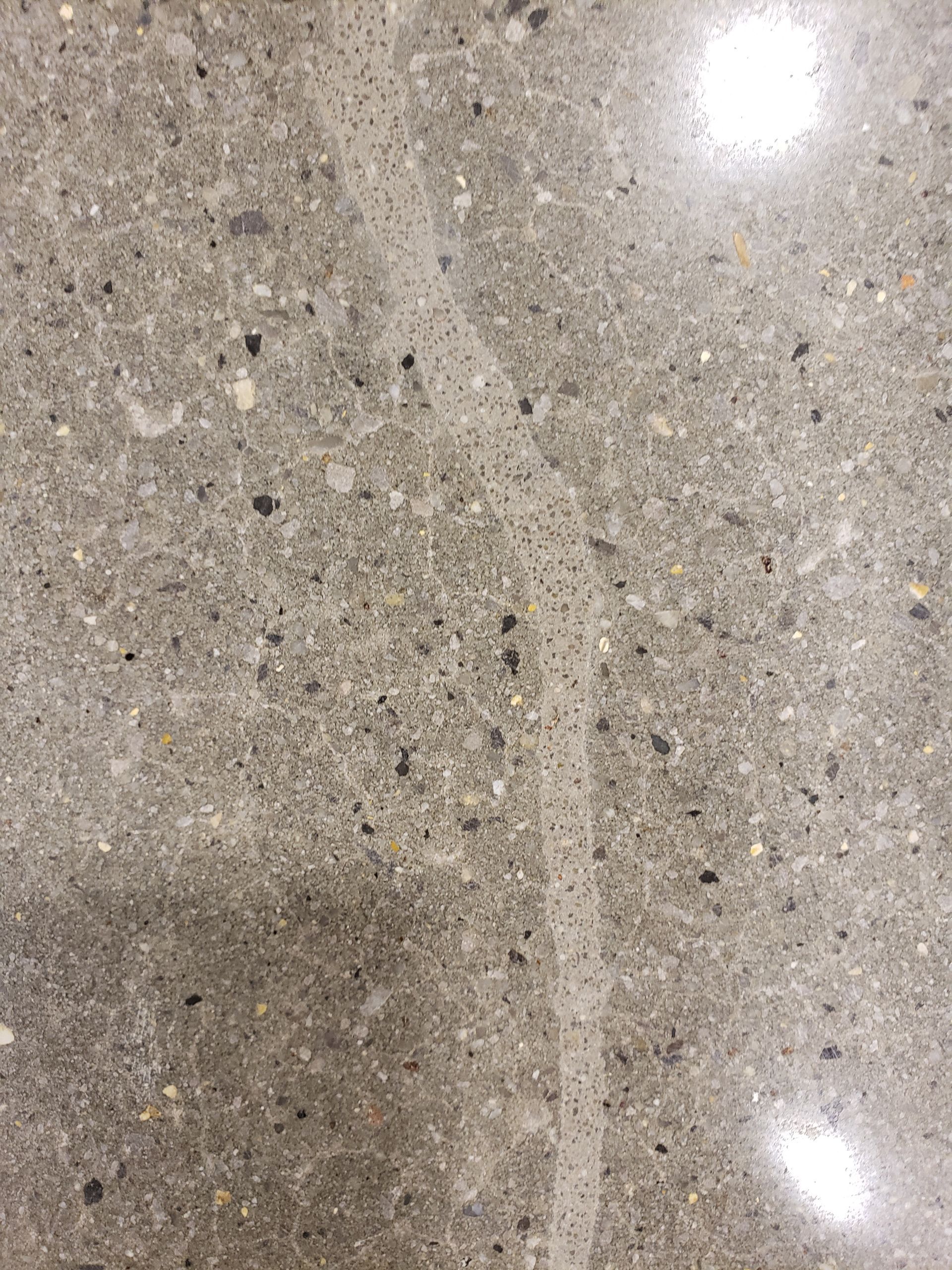 Close-up view of a gray, polished concrete floor with a light-colored, crack-like marking running through it.