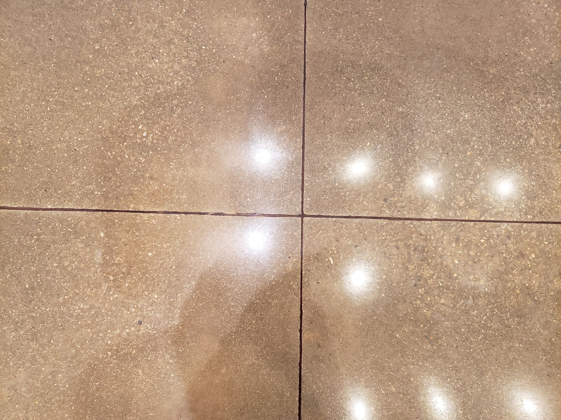 Four large, beige-toned tiles with dark grout lines. Reflective highlights indicate lighting above.