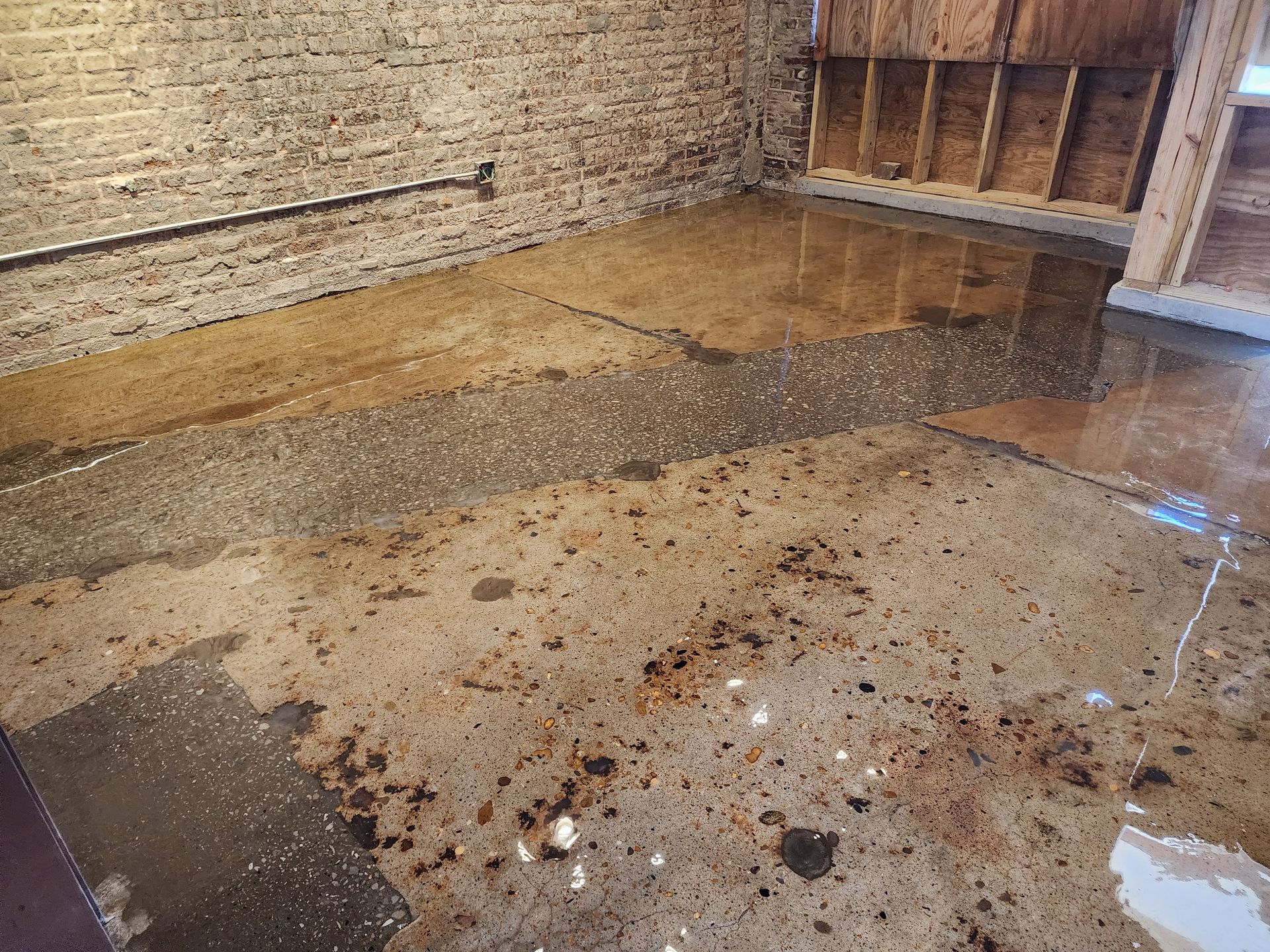 Flooded basement with standing water on a concrete floor, near brick walls and exposed wooden framing.