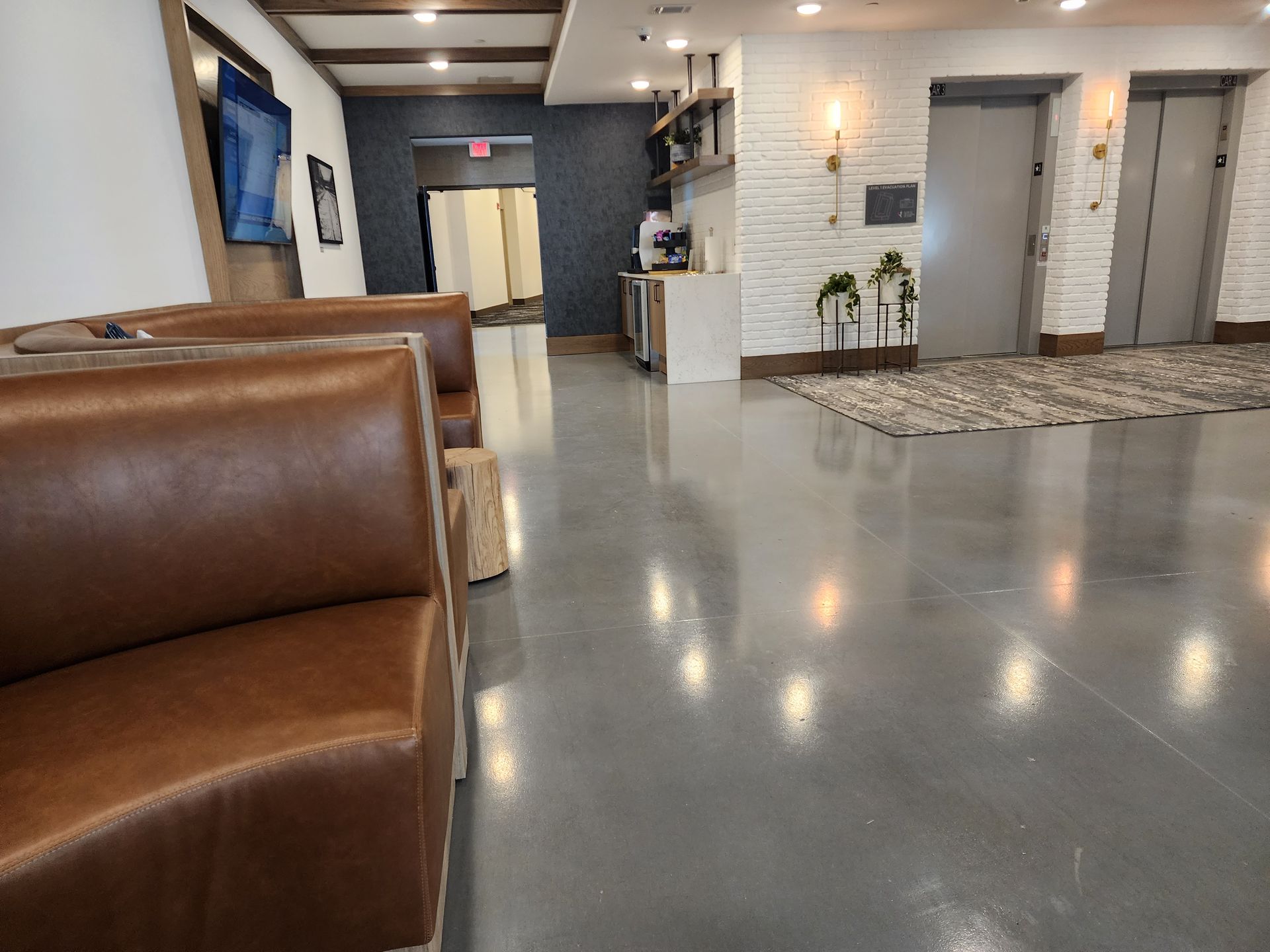 Lobby with brown leather seating, polished concrete floor, and two elevators. Features a blue wall, and a decorative shelf with plants.