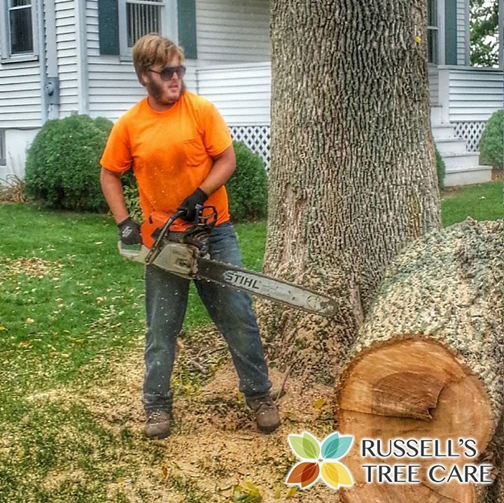 Gallery Northwest Indiana Russells Tree Care 